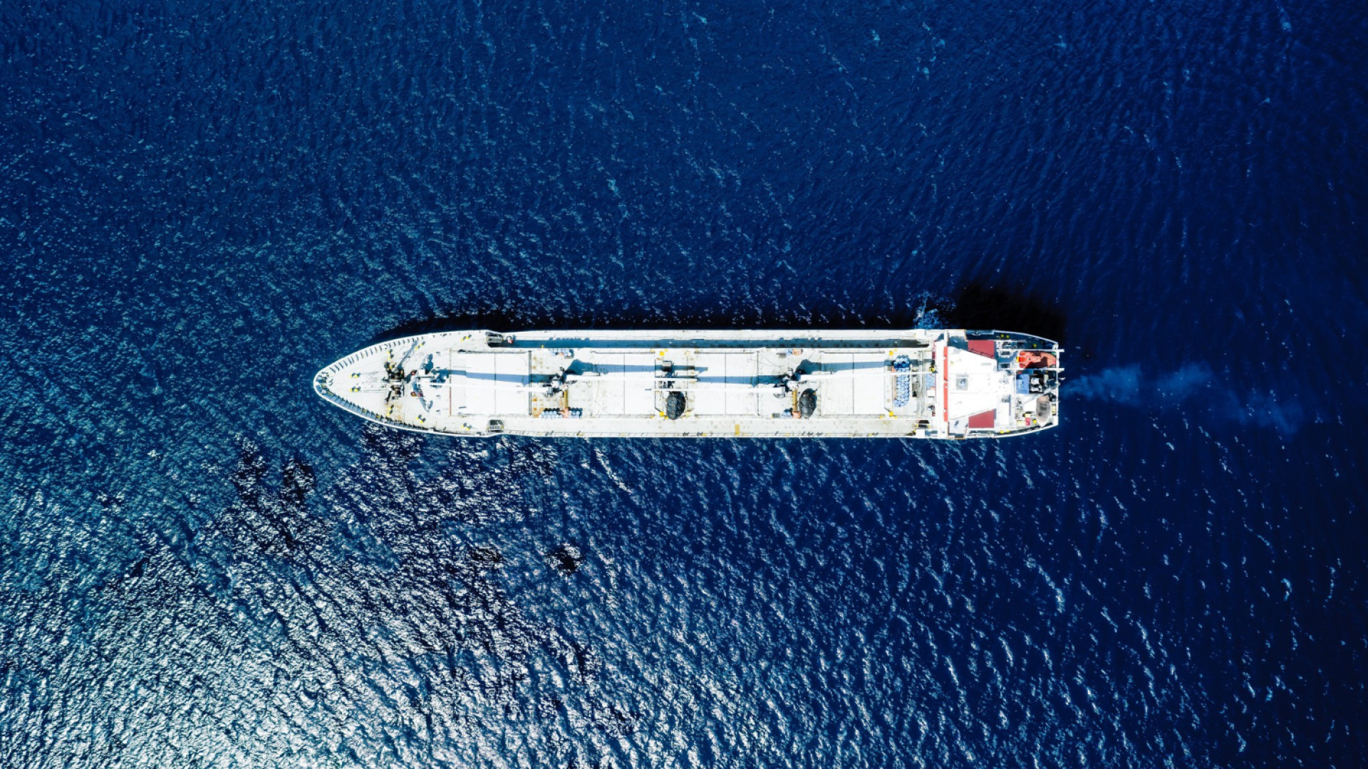 Excursions thématiques : découvrir la culture locale lors d’une croisière