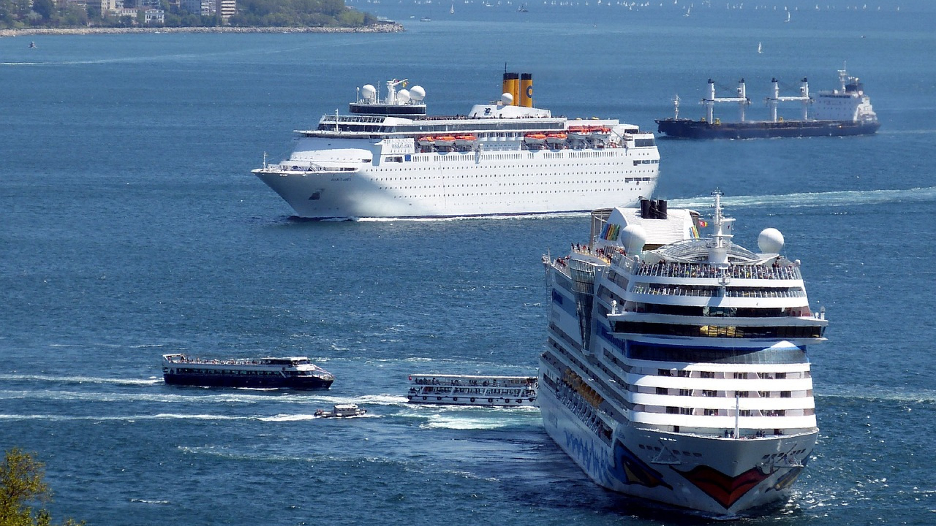 Croisières thématiques : découvrez nos offres pour tous les goûts et tous les styles !