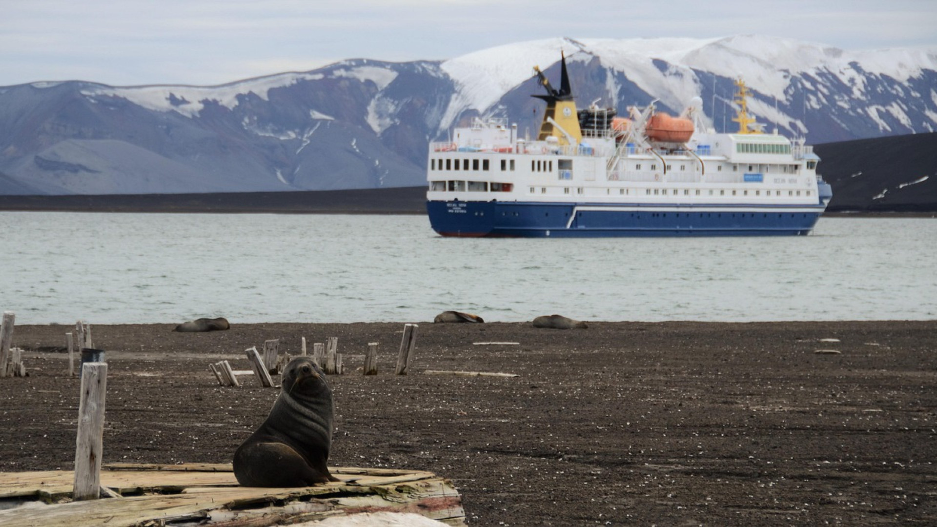 L’originalité de la croisière en Antarctique, une aventure hors du commun !