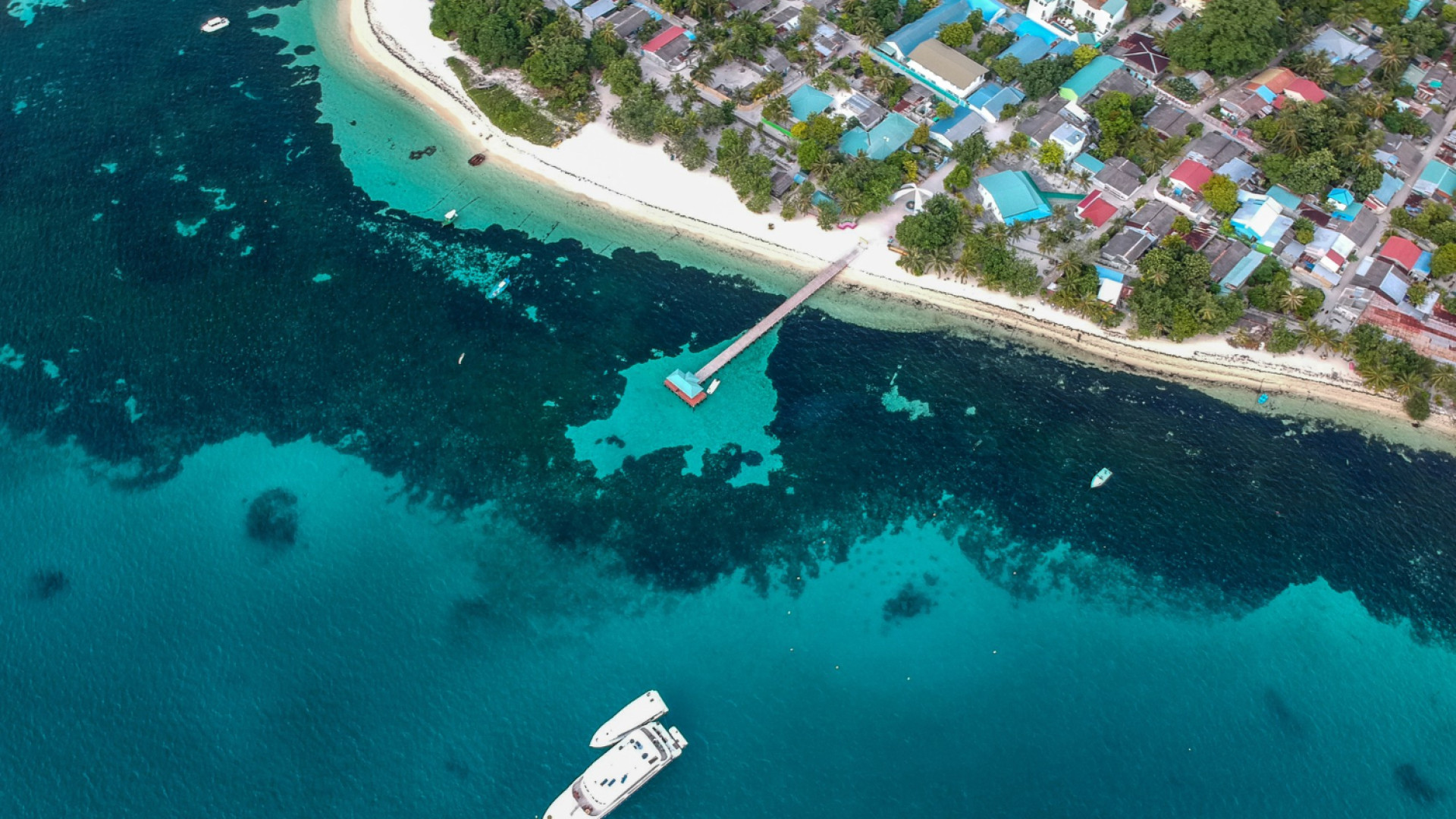 Polynésie et croisière : immersion dans les îles et leur culture unique !