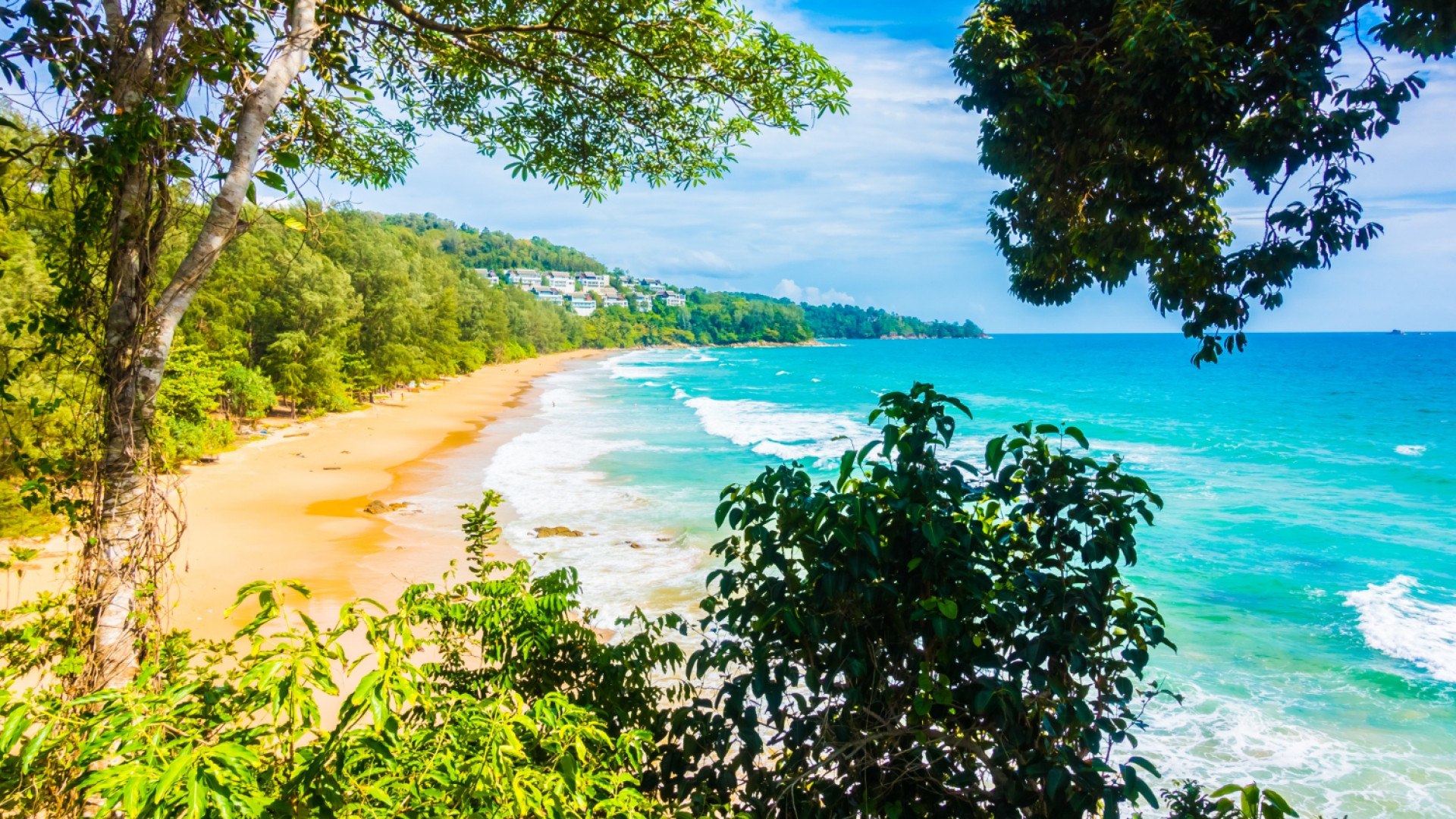 Découvrir les îles de la Guadeloupe : un voyage entre Grande-Terre, Basse-Terre et les Saintes