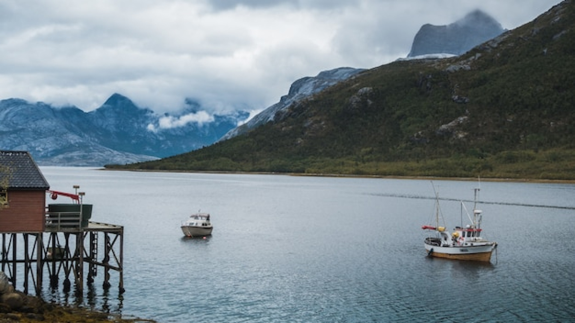 Croisière en Écosse : faune sauvage et merveilles naturelles à découvrir