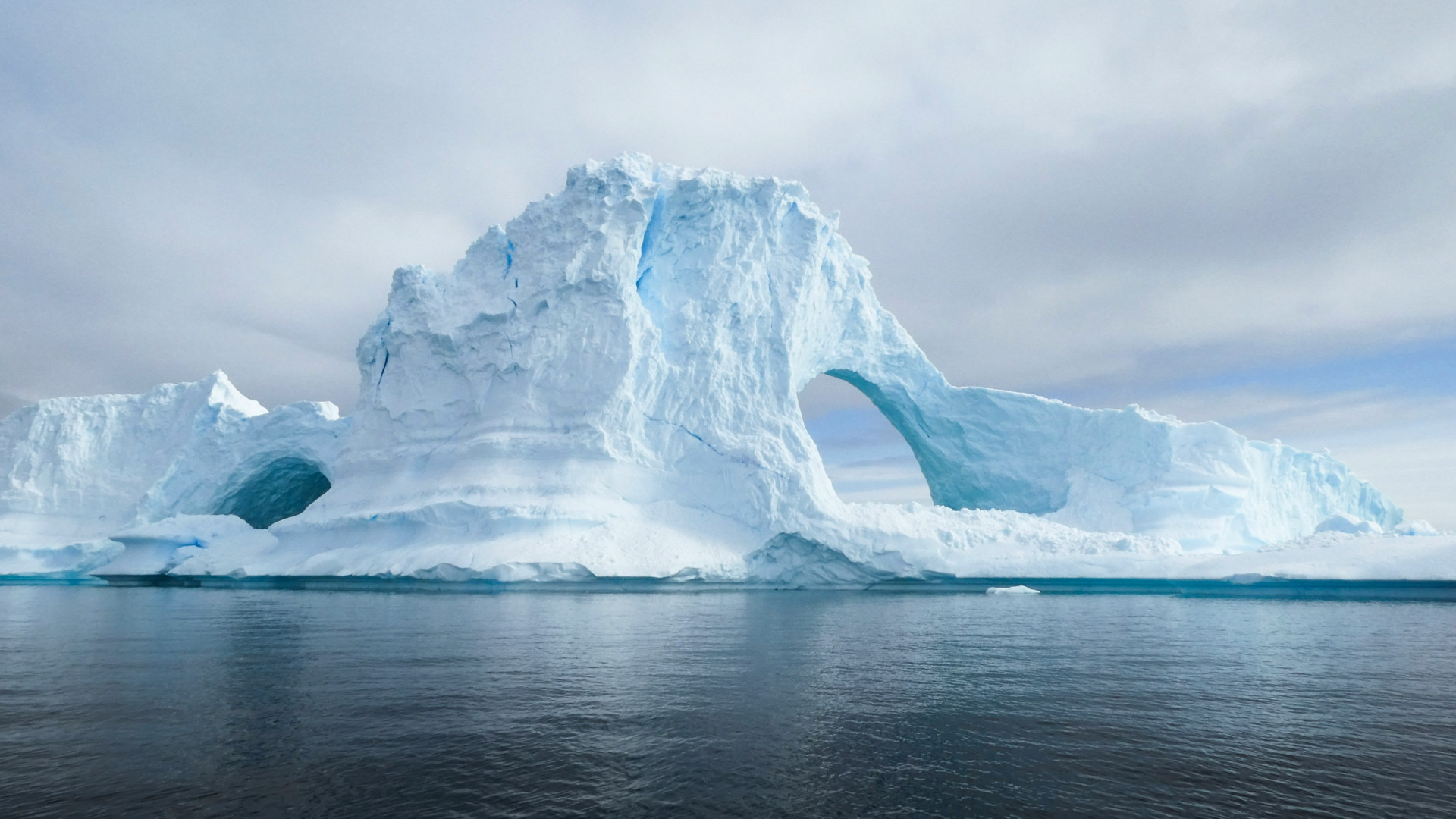 Quelle différence entre croisière arctique et antarctique ?