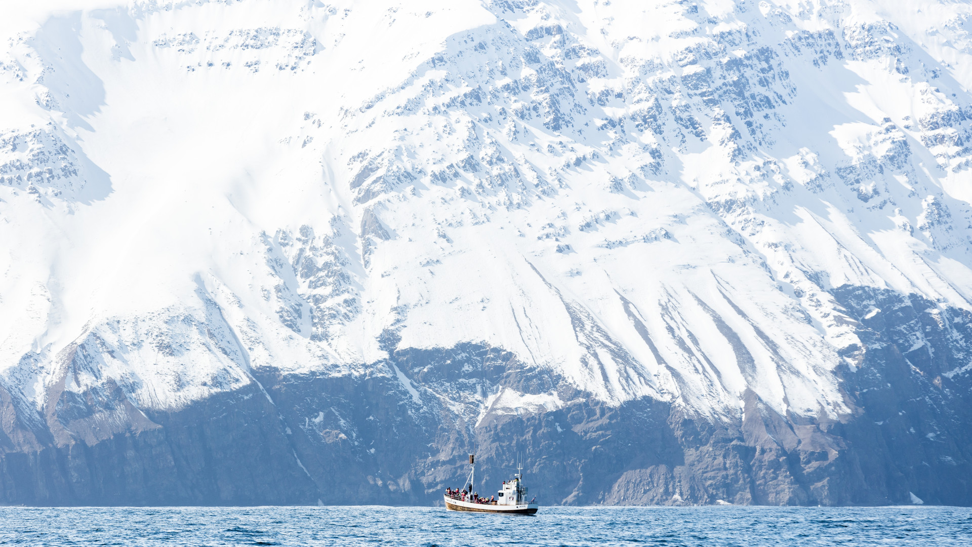 Antarctique : vivre une croisière hors du commun entre science et exploration
